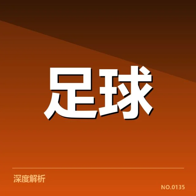 已核实的里尔球迷支持事实
